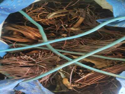 广州从化废电线回收价格-废电线回收上门服务-高价现款回收